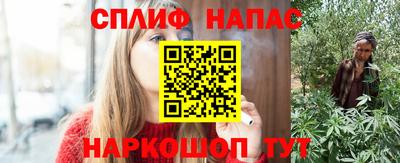 мдпв Татарск